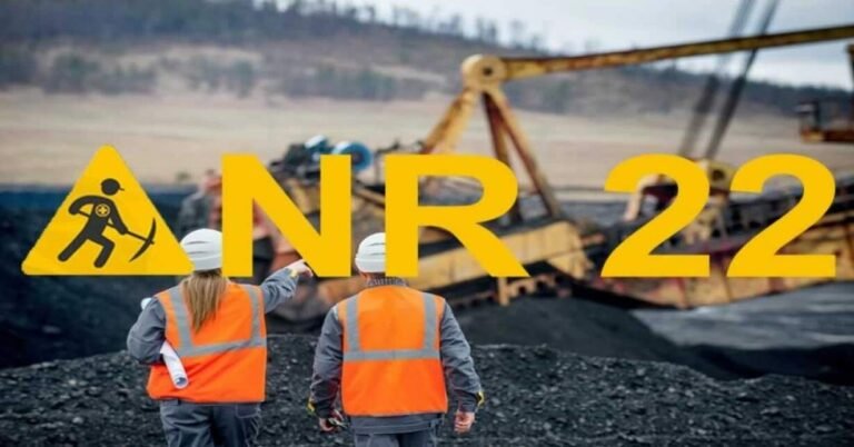 Nr 22